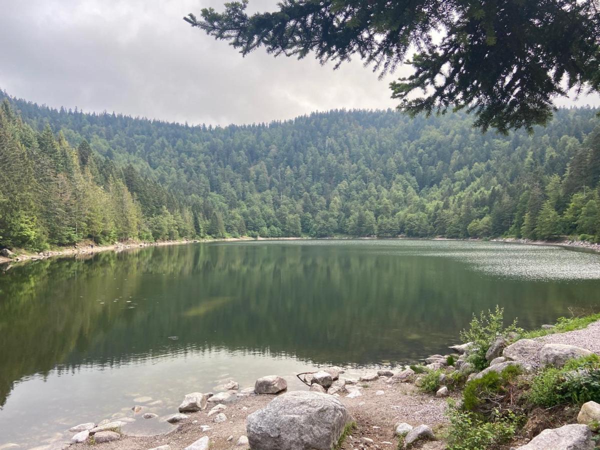 Le Chellois * La Bresse